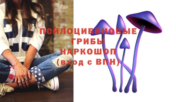 дживик Богородск