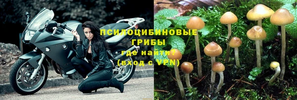 эйфоретик Балахна