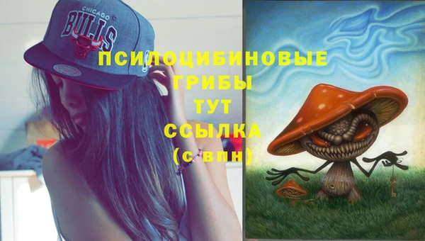 дживик Богородск