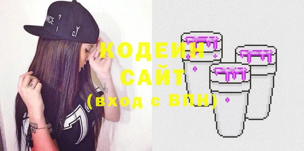 дживик Богородск