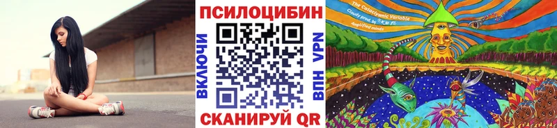 Псилоцибиновые грибы мицелий  где найти наркотики  Горнозаводск 